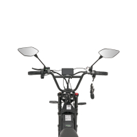 Minako Apex, Черный